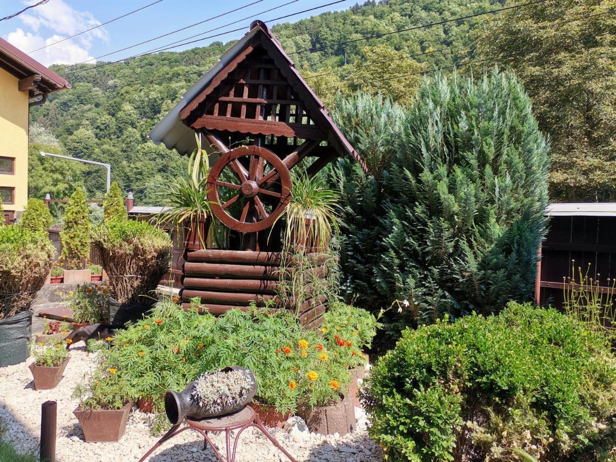 Shelby Accommodation -Adult Only- Sinaia Exterior photo