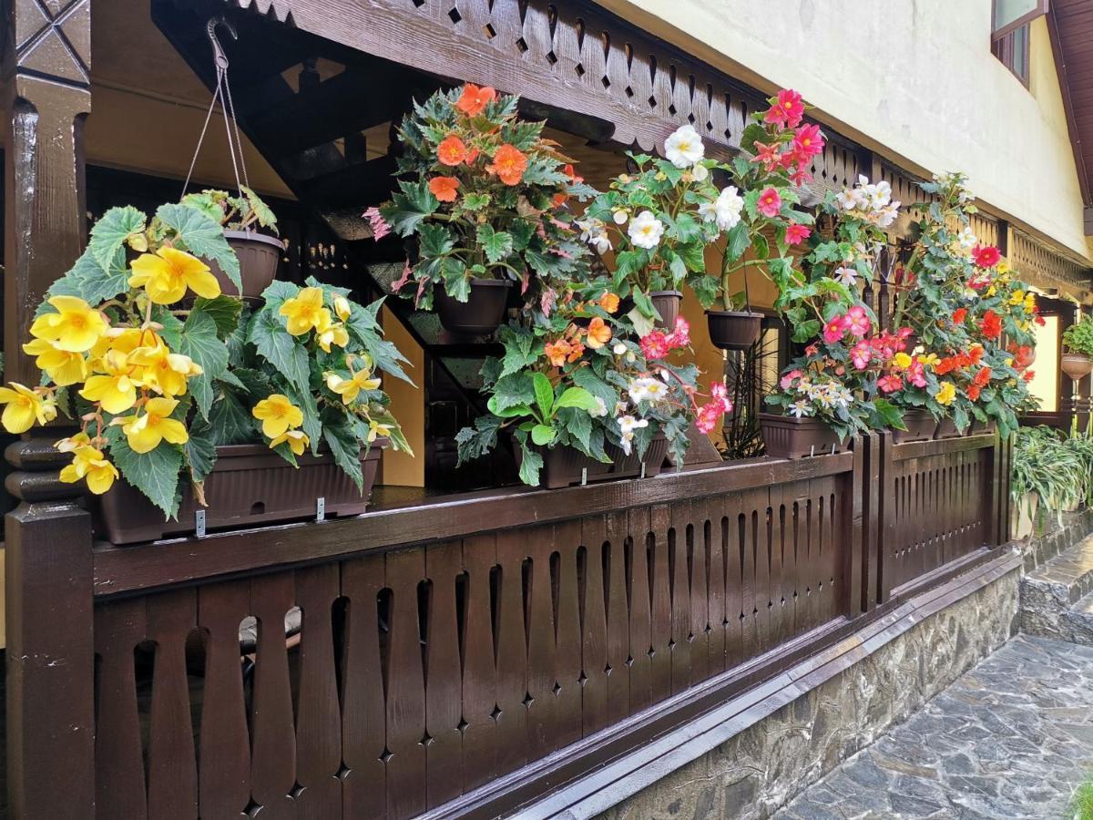 Shelby Accommodation -Adult Only- Sinaia Exterior photo