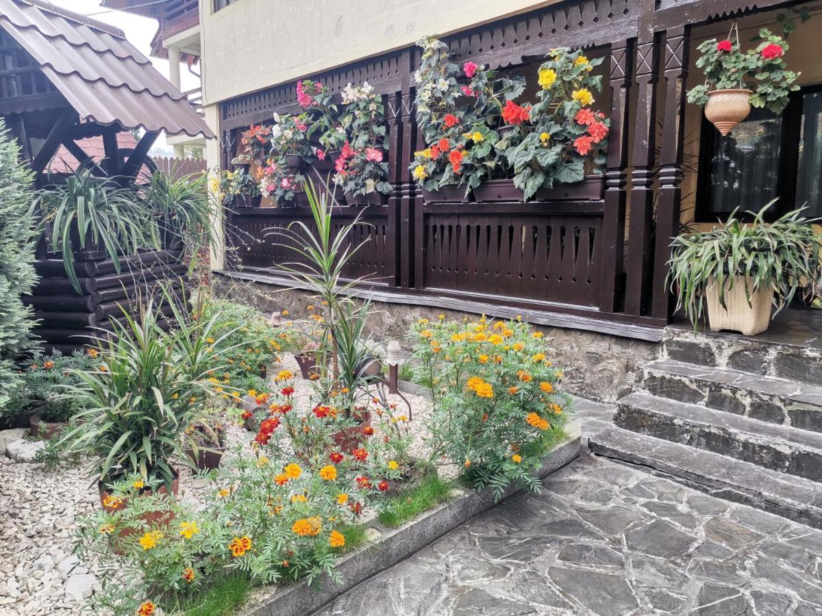 Shelby Accommodation -Adult Only- Sinaia Exterior photo