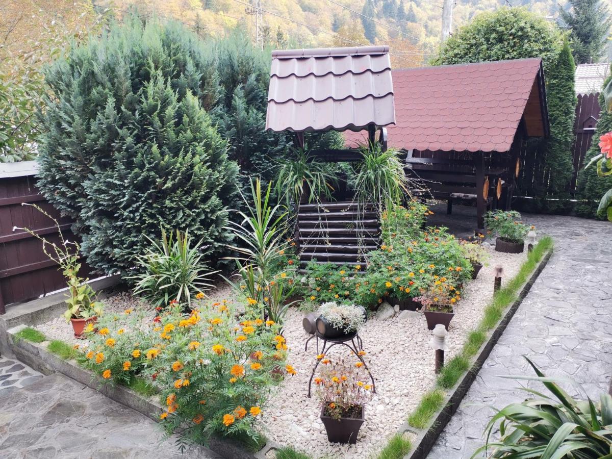 Shelby Accommodation -Adult Only- Sinaia Exterior photo
