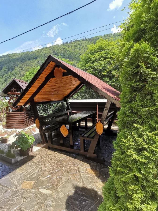 Shelby Accommodation -Adult Only- Sinaia Exterior photo