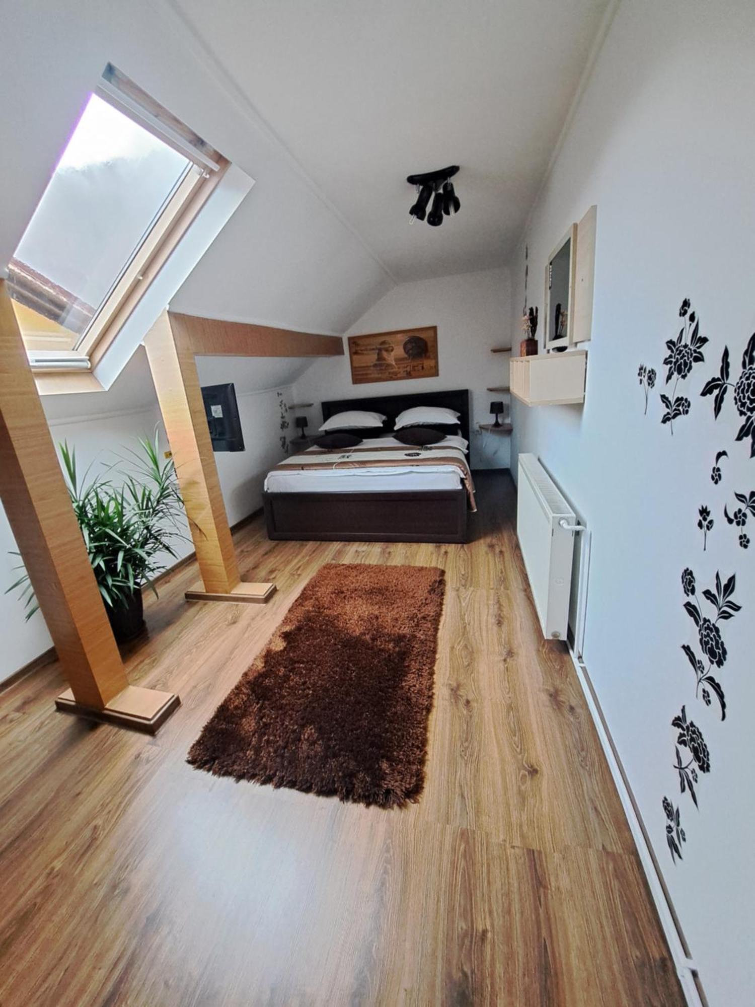 Shelby Accommodation -Adult Only- Sinaia Exterior photo